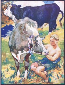 "Icoronata كان مفضلاً" ، رسم توضيحي لـ "Chiarino the Bull and the Ambitious Mule" ، من "Animal Legends from Many Lands" ، الذي نشرته Raphael Tuck & Sons Ltd. (لون ليثو)