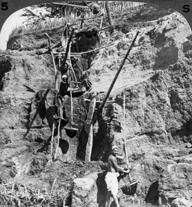 شادوف مصري يرفع مياه النيل إلى الحقول العطشى ، مصر ، 1905.
