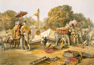 فيل خانا ، أو أحياء الفيلة ، معسكر هولكارز ، من "الهند القديمة والحديثة" ، 1867
