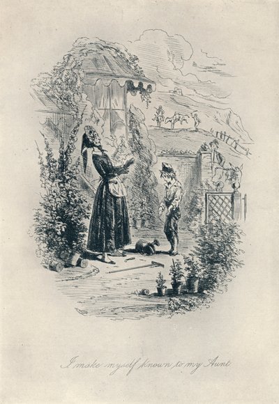 أنا أعرف نفسي بعمتي. النقش من ديفيد كوبرفيلد ، c1840-1880 ، 1923 بواسطة هابلوت نايت براون
